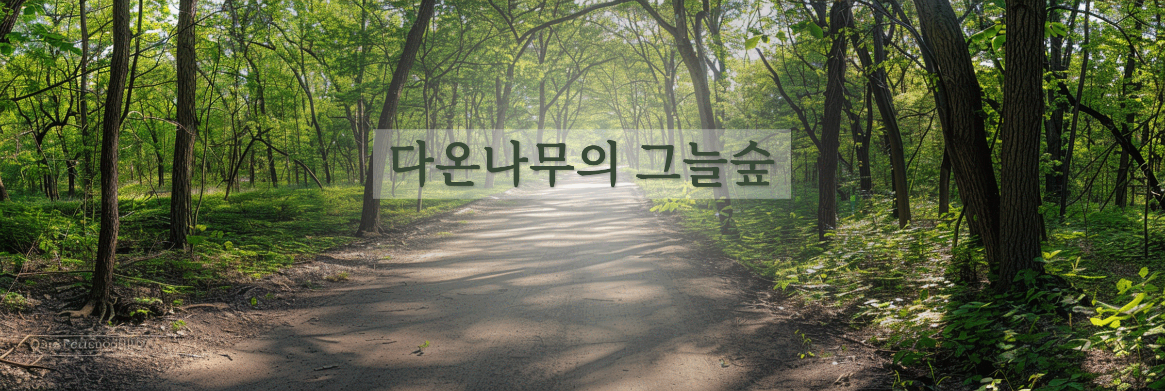 배너